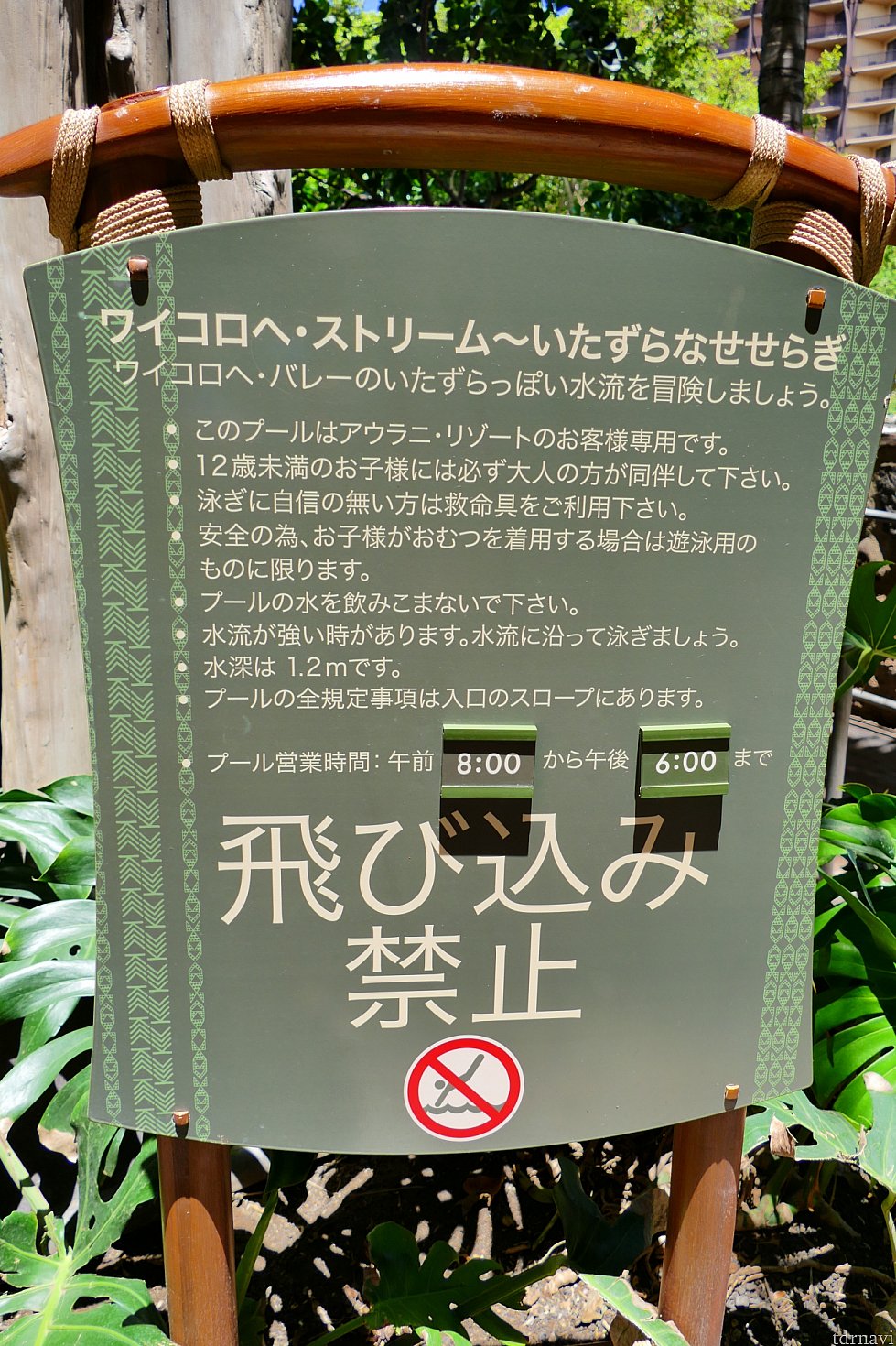 まずは地図のA、ワイコロヘ・ストリームから!