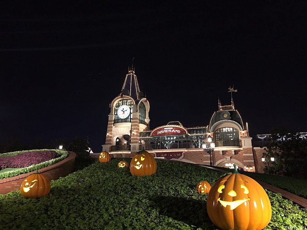 パーク入口の花壇もハロウィン仕様に🎃