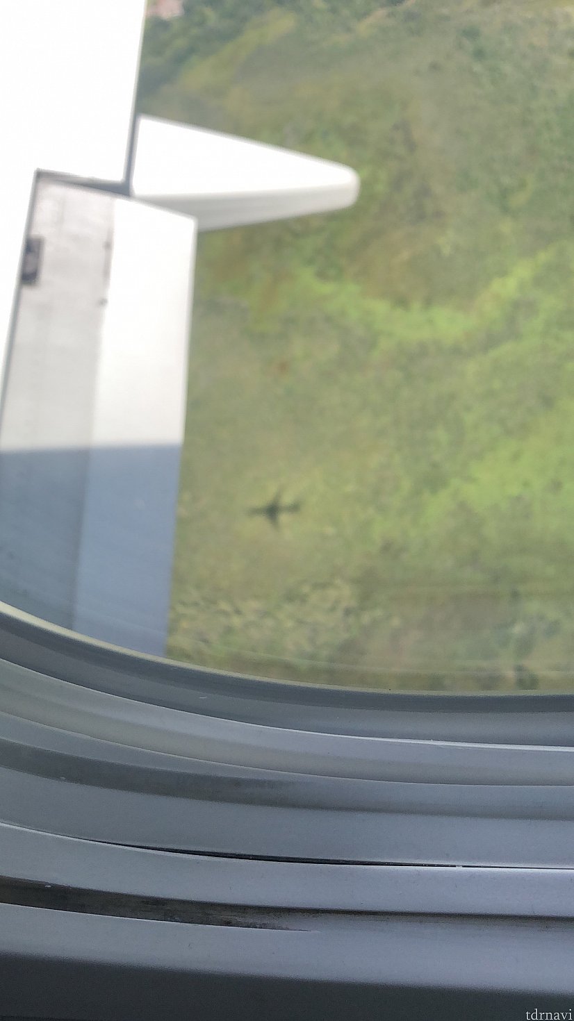 コードシェア便
AAシカゴ発オーランド行き
乗っている飛行機の影が見えました