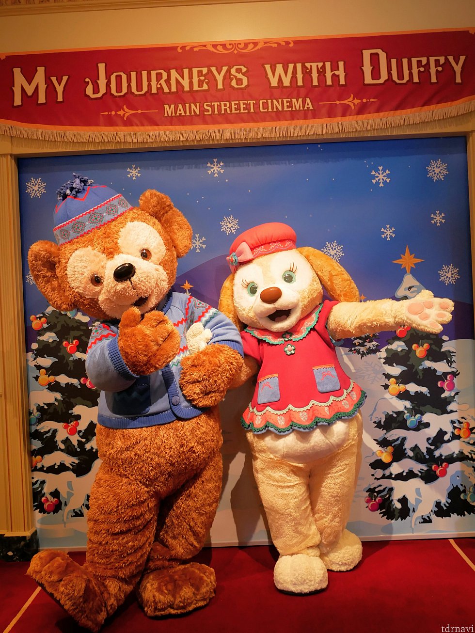 ダッフィー&クッキー!
グリーティング開始前10分でラインカットでした。
巻きだったので、キャストさん撮影。ななめだけど全身が写ってるので🆗です(笑)