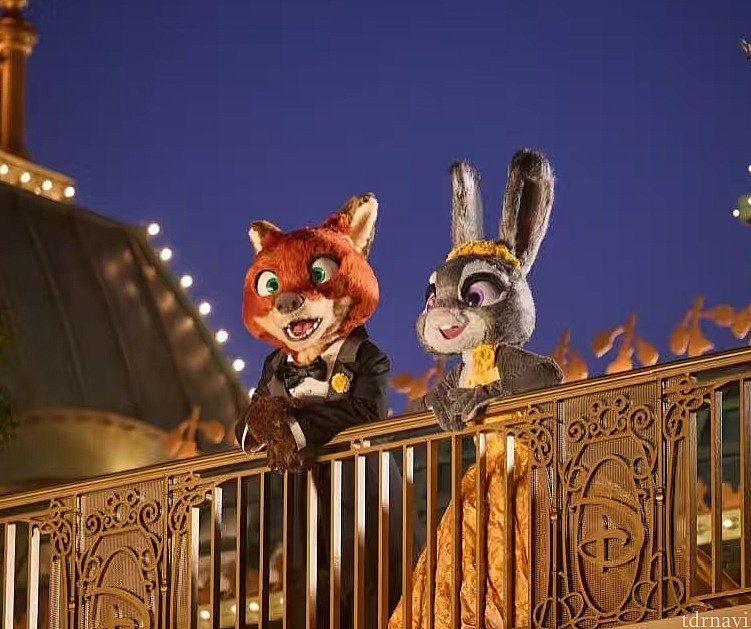 ドレスコスのニックとジュディ