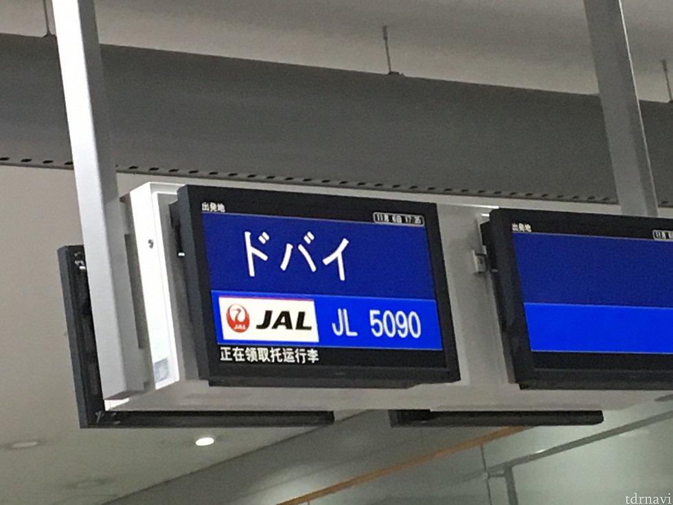 往復とも、JALとの共同運行でした。
