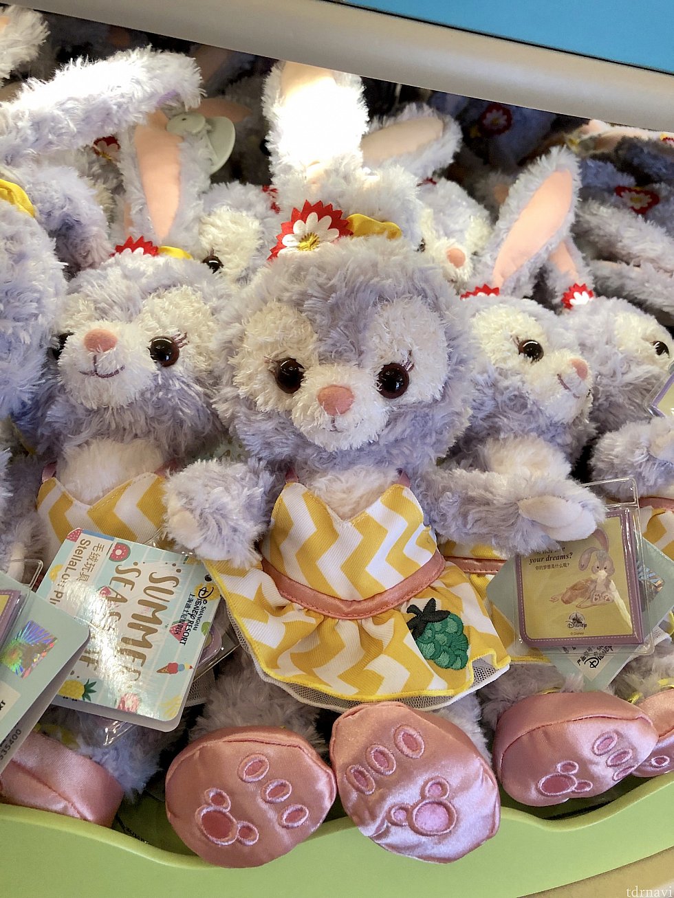 ステラルーちゃんのぬいぐるみ♡スカートにはぶどうの刺繍🍇