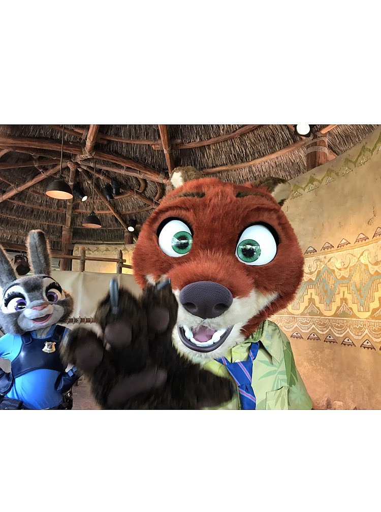 ジュディとニックのペアグリ!!!一人だけの時間もあるから、キャストさんに聞いてみてください♪