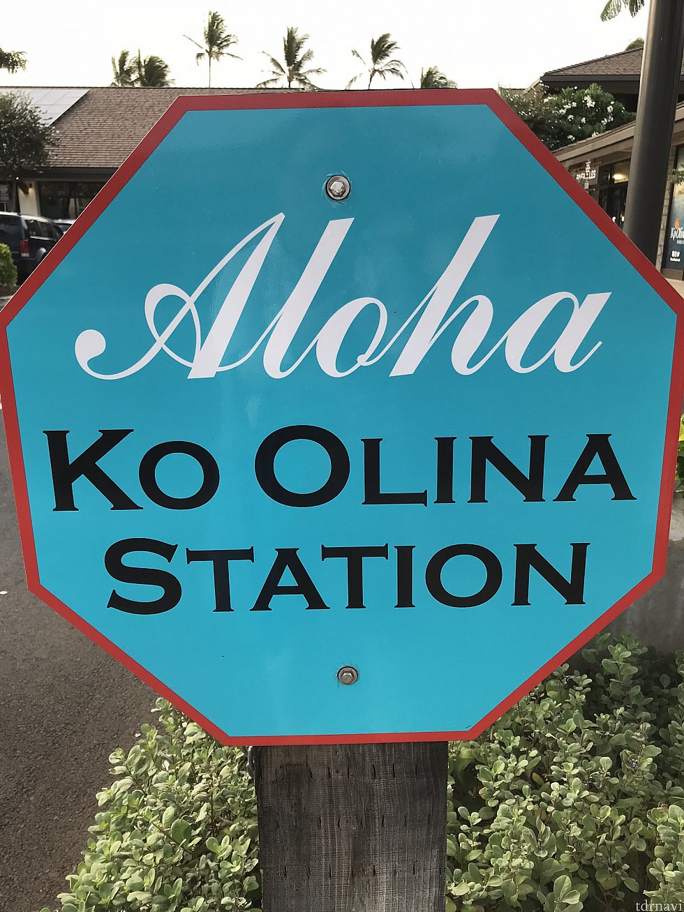 コオリナステーション看板です♪