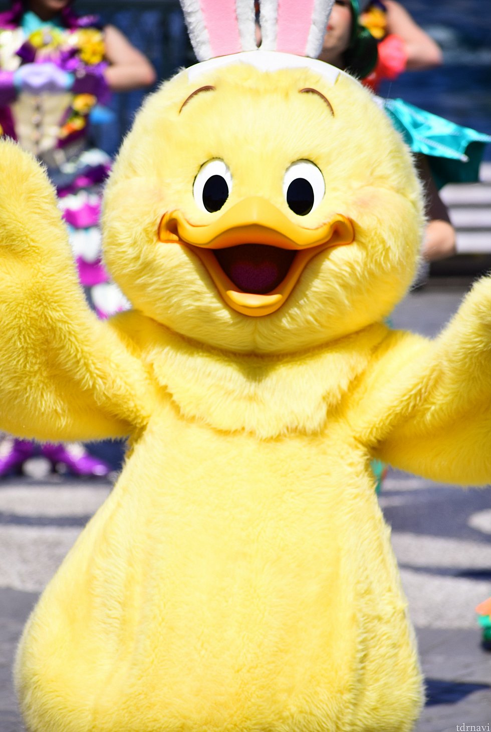 そしてうさピヨも登場!