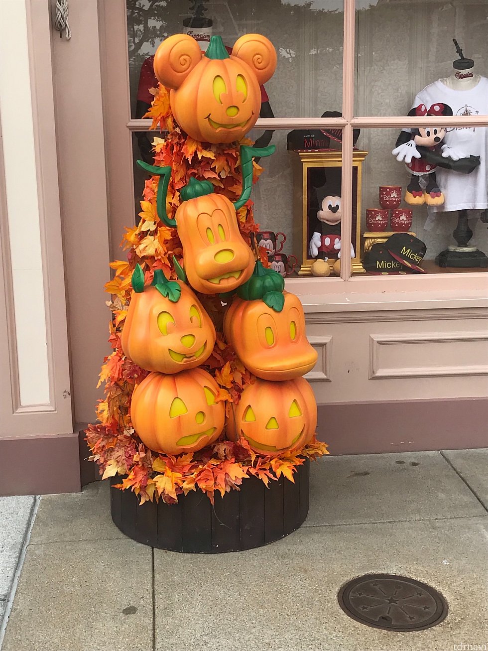 🎃エンポの横の可愛いカボチャ🎃