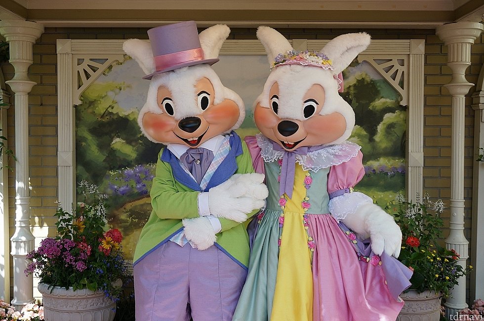 おそらくイースター限定で出てきたキャラじゃないかな?待ち時間ほぼなし