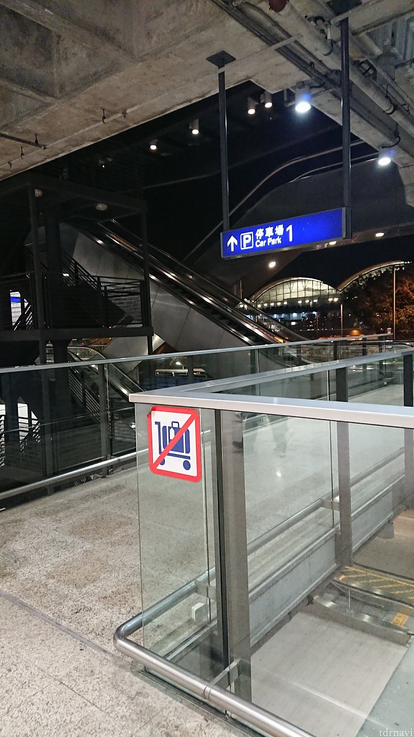 右側にエスカレーターが見えますので、降ります。