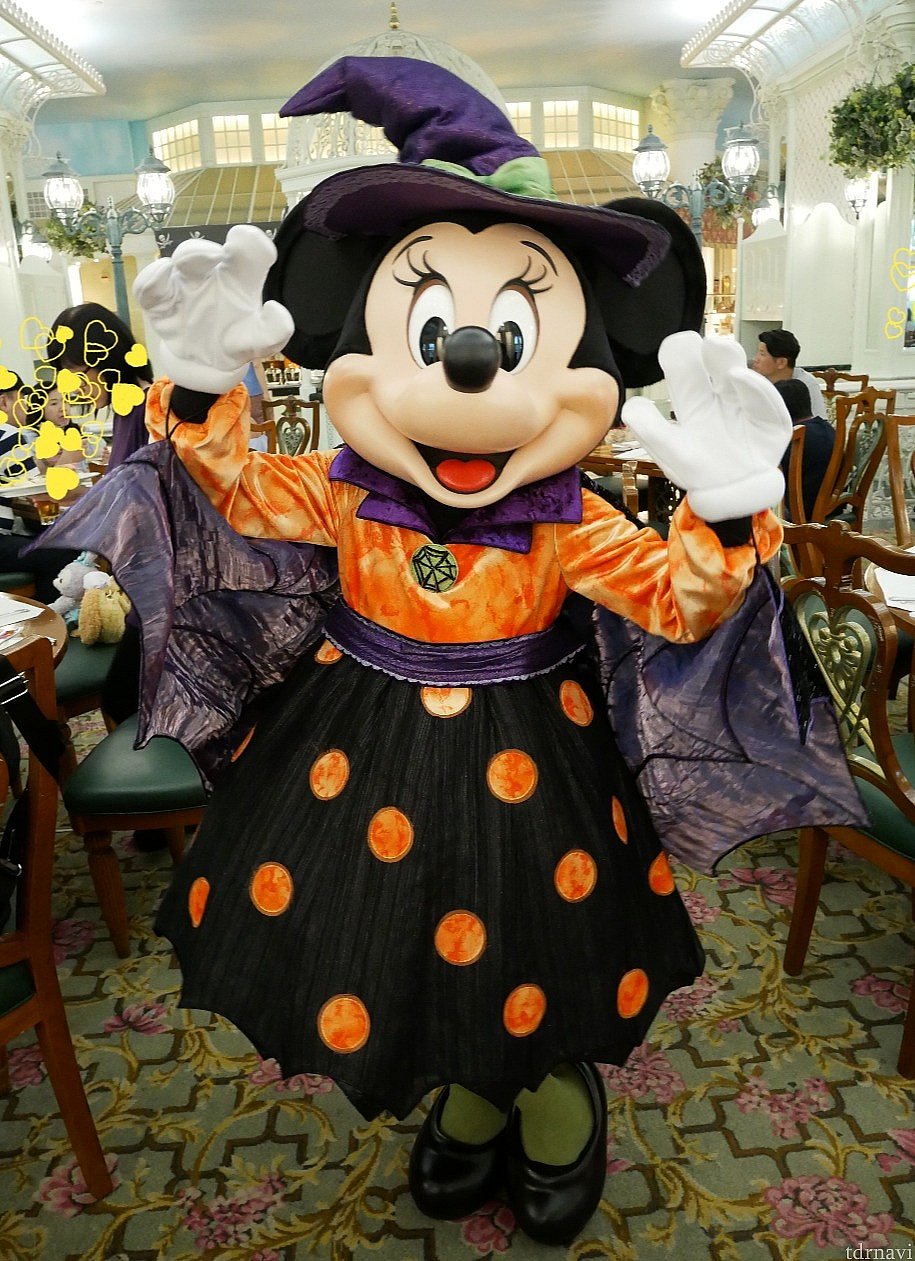 最初に来てくれたのはミニーちゃん😆かわい過ぎ❤️
このポーズでちょこちょこ少しずつカメラに向かって前進してくる姿に悶絶しました😍