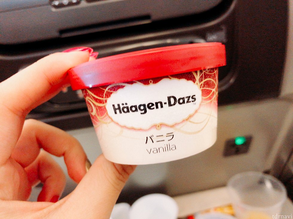 デザートはハーゲンダッツのバニラでした。寒い機内でも完食!