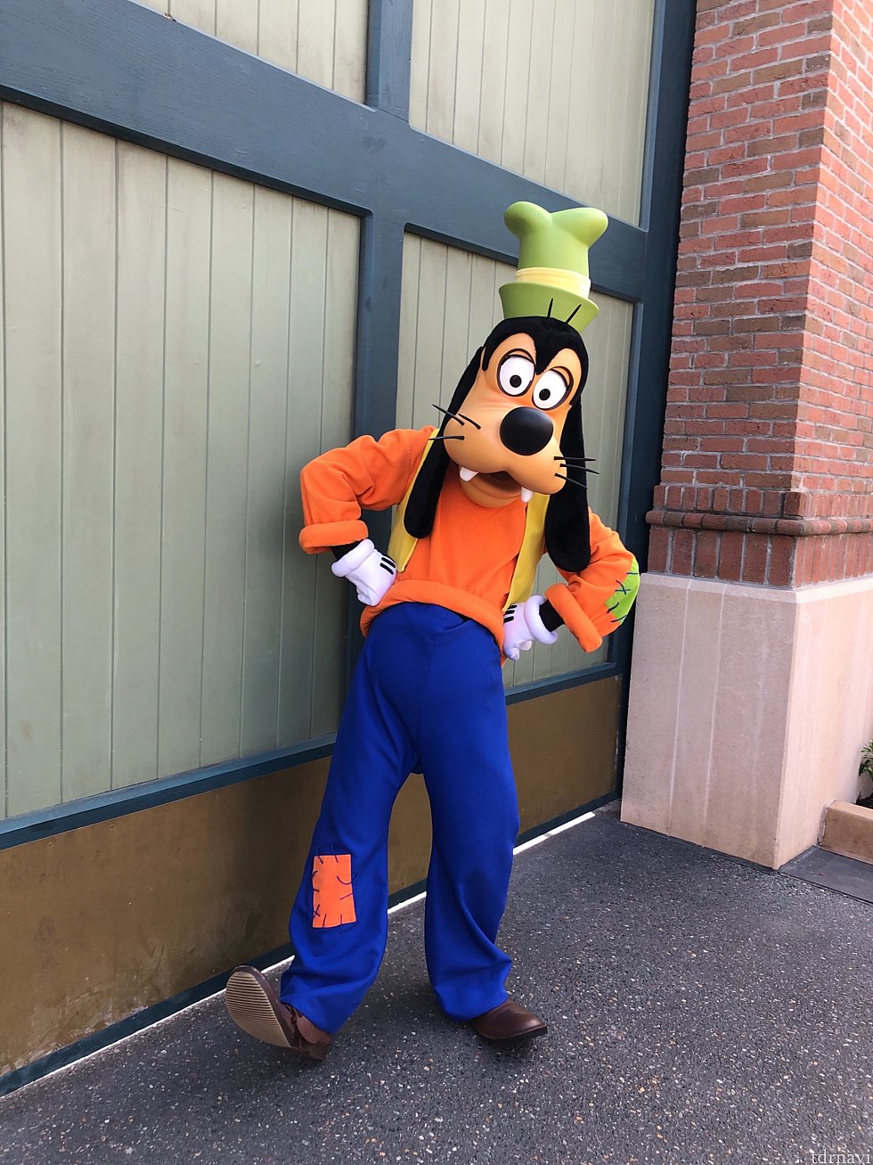 Goofyカメラ目線
最後まで読んでくださりありがとうございます😊
参考にしていただけると嬉しいです