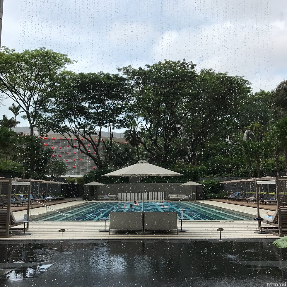 ホテル併設の屋外プール。
水着を忘れたので泳がずに見学。