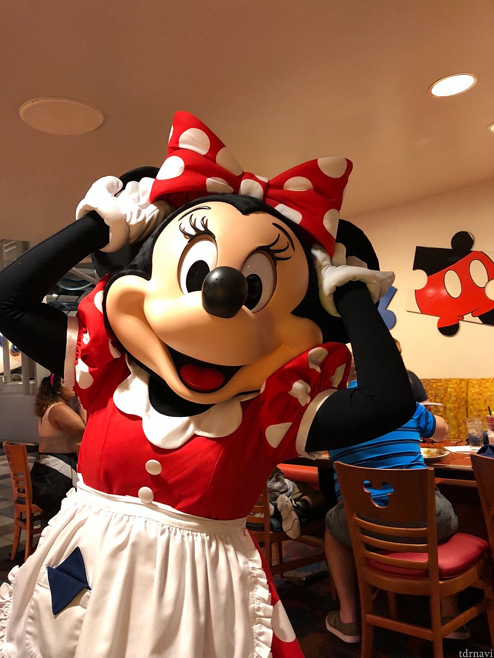 シェフミニー!
リボンがお気に入りのようです🤗