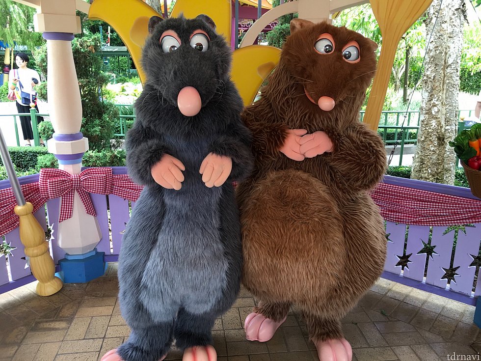 レミー&エミールはとにかく空いてました…長くて5組ぐらいしか並んでなかった気が