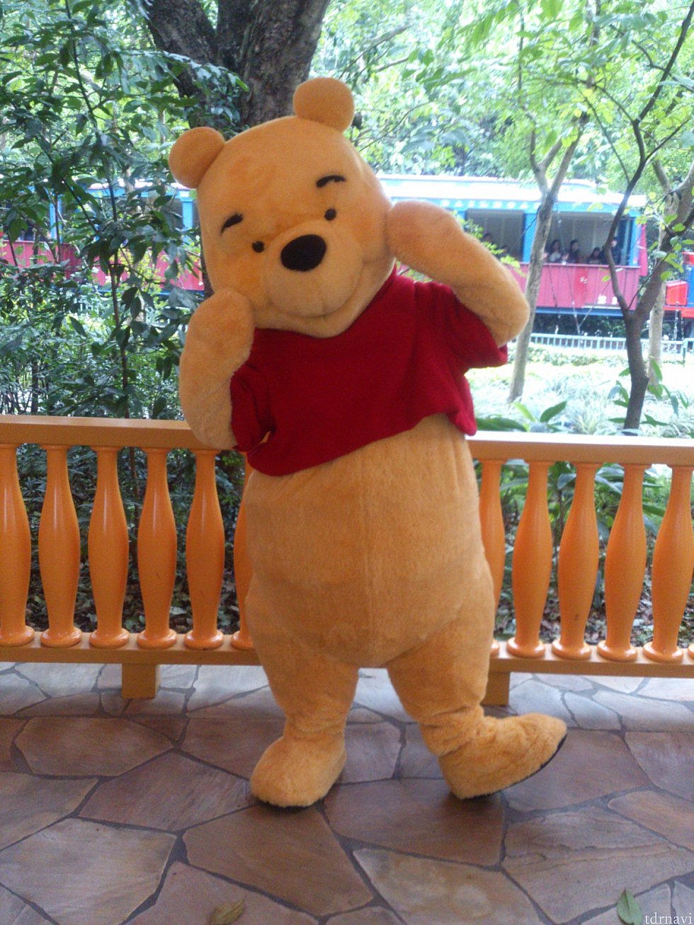 後ろはディズニーランド鉄道が通ってます。