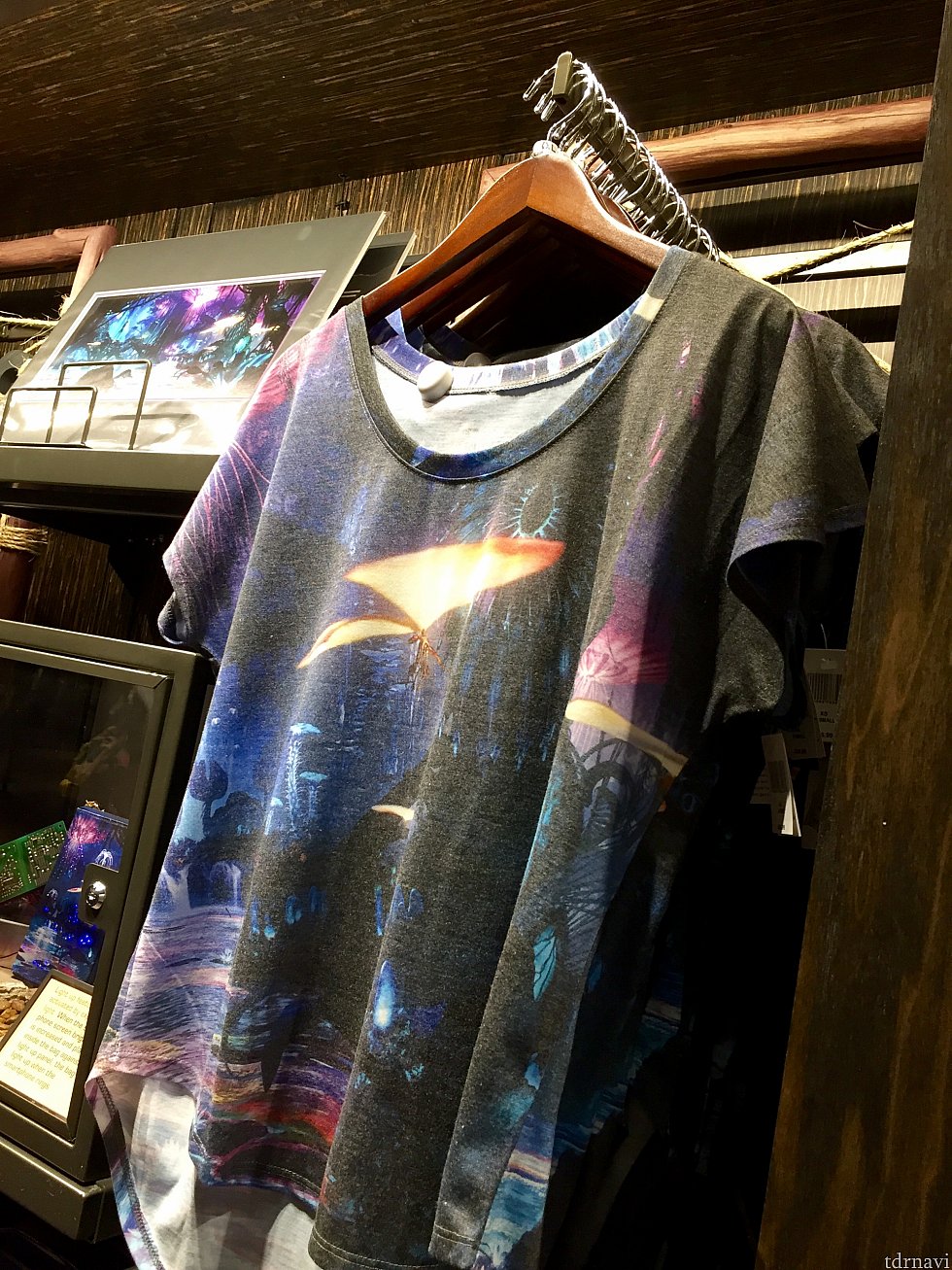 個人的に好きなデザインのTシャツです。