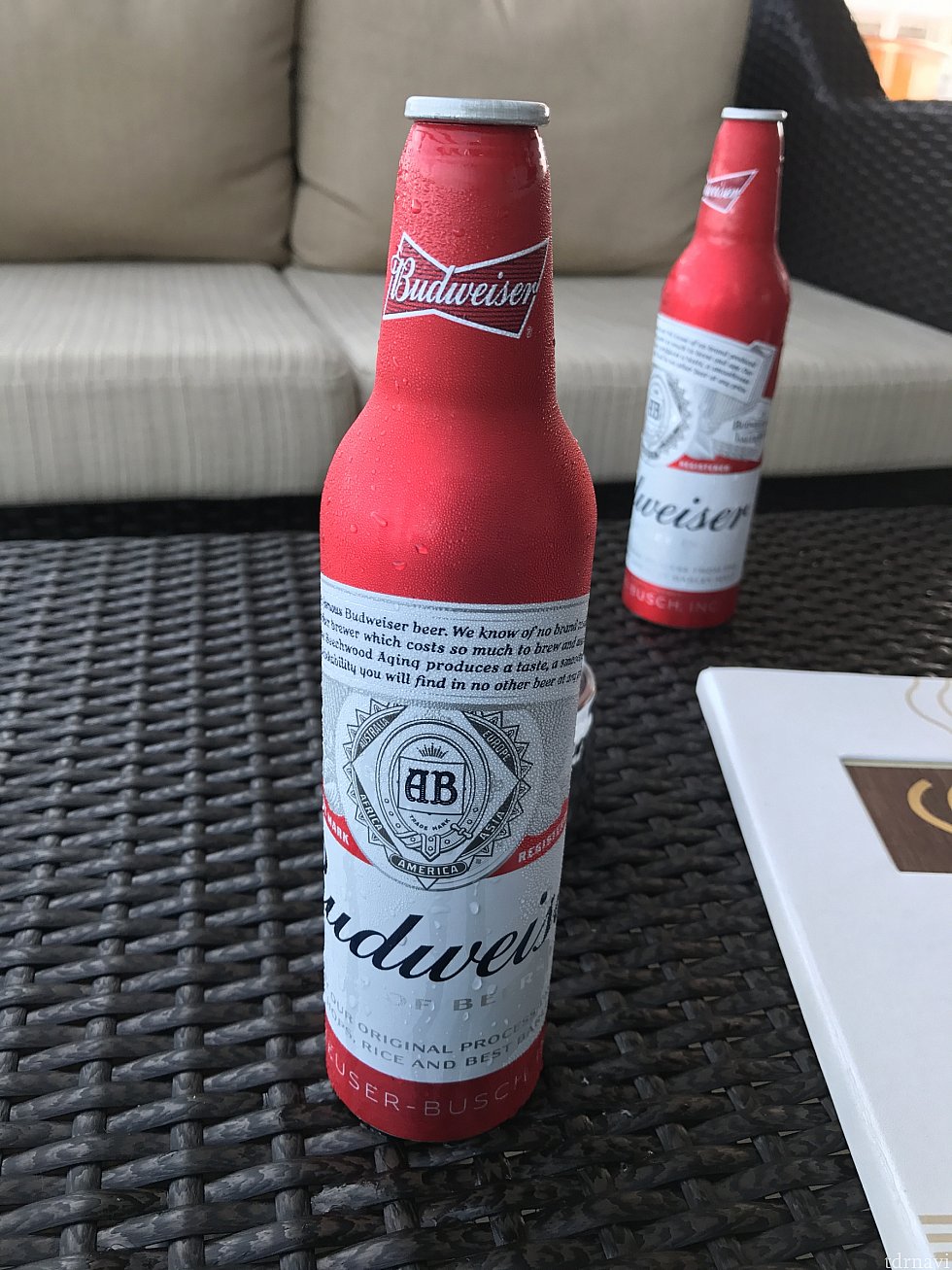 昼からビールを頂けるのも、クルーズならでは!
