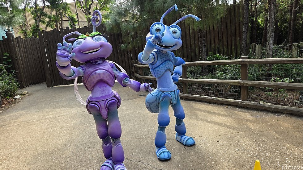 君ら、普段のグリーティングでも出てきてくれないか?