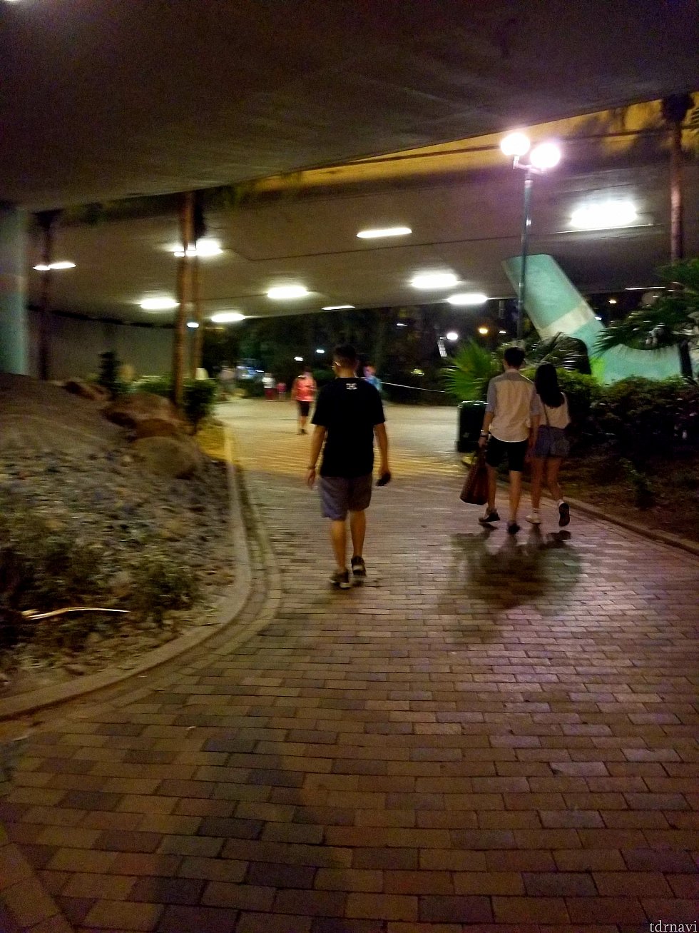 いきなり夜でごめんなさい😣上写真を道なりに歩いていたら道路下を通って向こう側に渡れる道があります