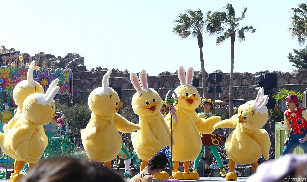 うさピヨは1匹じゃなく、たくさんいます😍