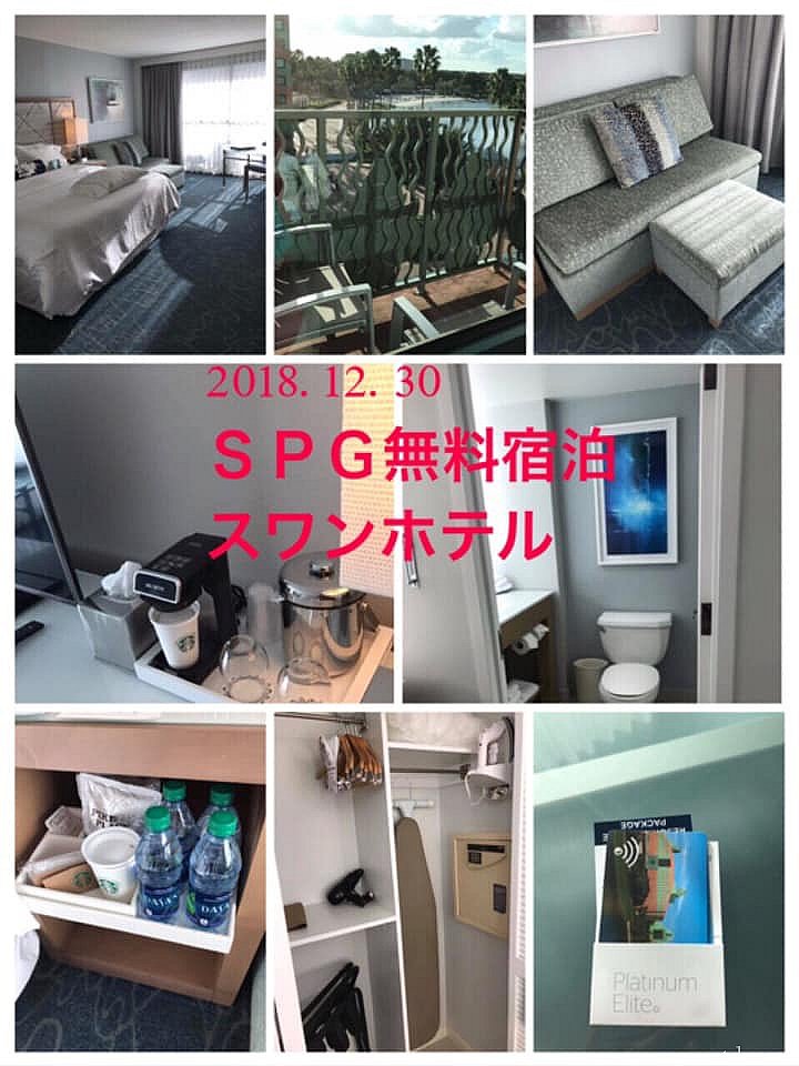 スワン