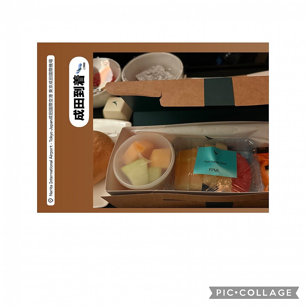 プレエコの機内食<br>
フルーツミール