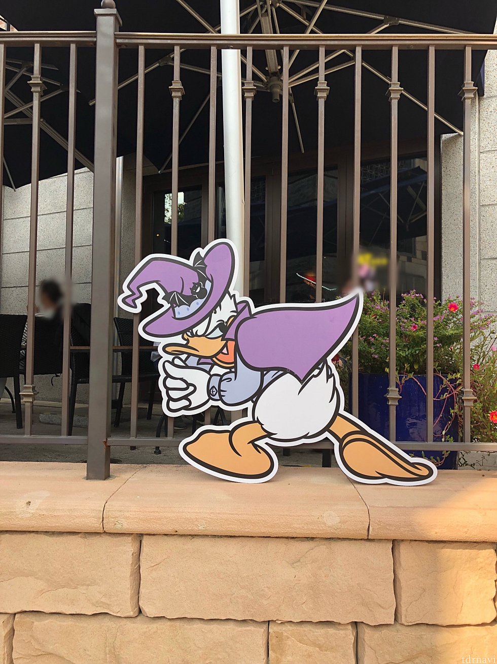 ディズニータウンの中に、なぜかドナルドがいっぱいいました