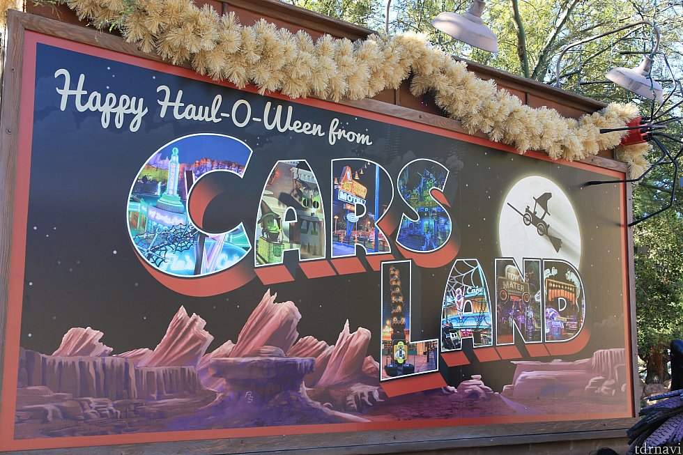 やってきました、カーズランド!興奮が止まりません!