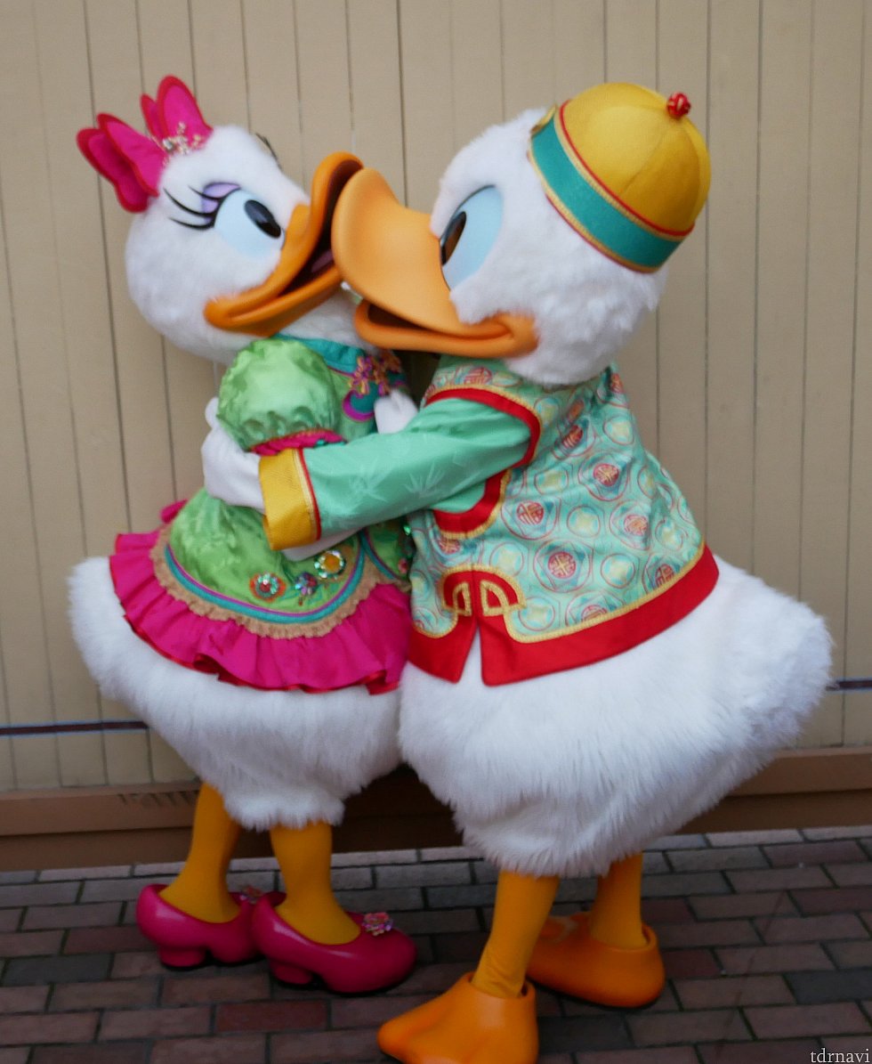 【メインストリート】グリーティング帰りのドナルド。ディジーに熱烈なチュー😍