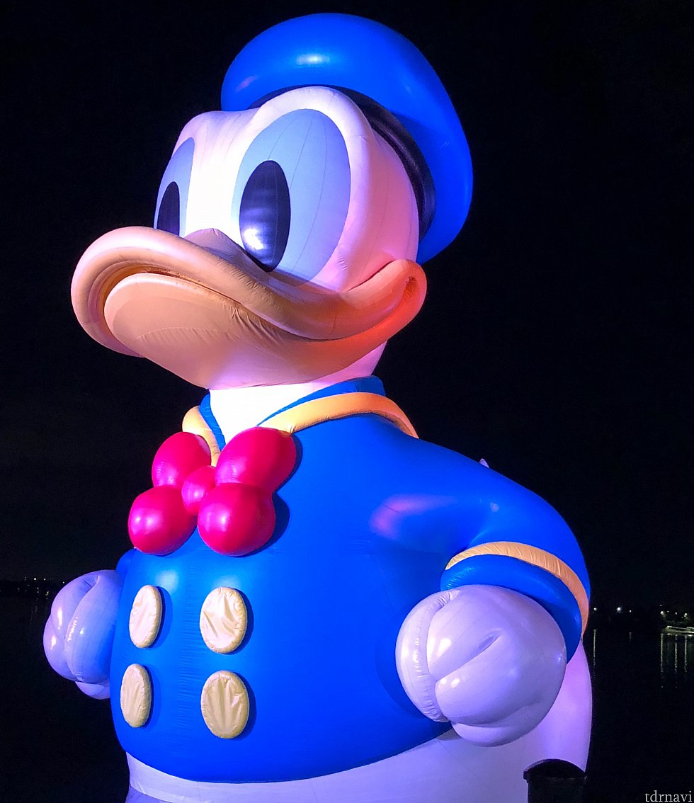トップにする画像が無くて、ドナちゃん置いときます💦