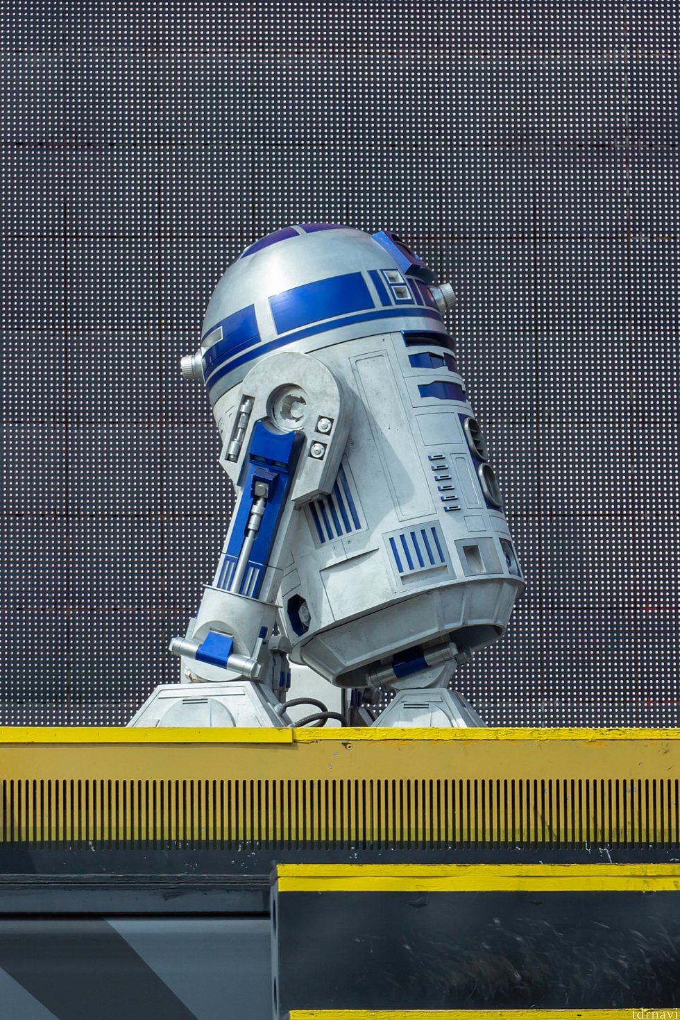 R2-D2はハリウッド・スタジオでグリーティングしてないので、新鮮✨✨