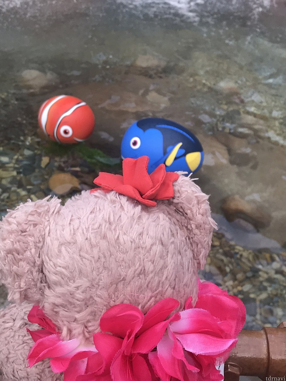 ニモとドリーが居ました♪
イースター限定ですかね?