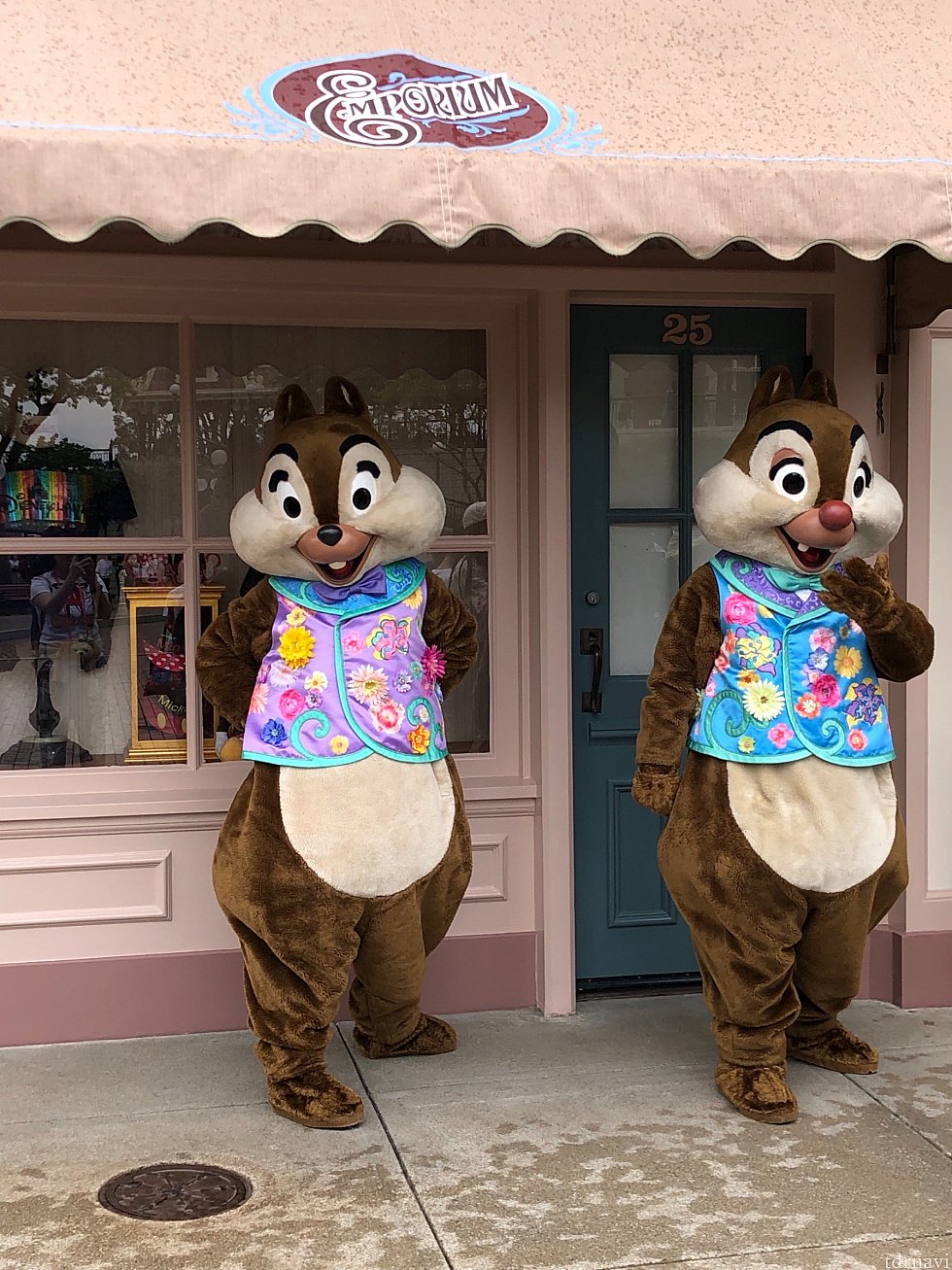 チデも