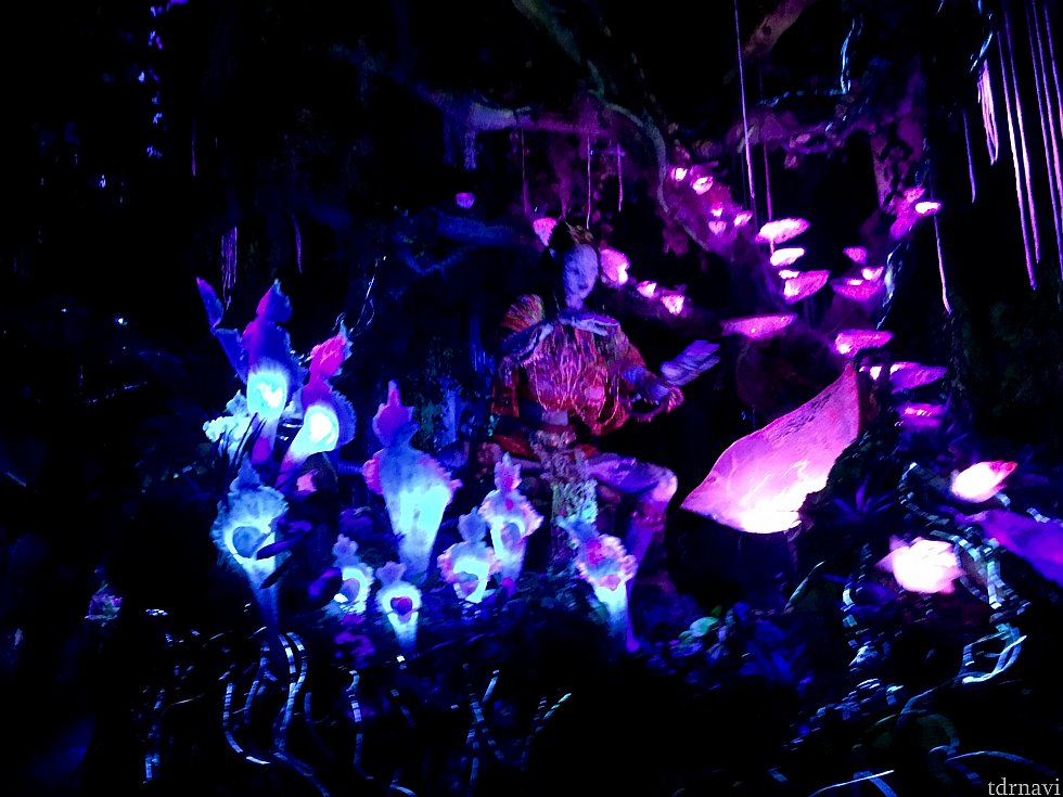 このNa'vi は実際に目で見ていただきたいです。