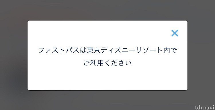 当たり前ですが、東京ディズニーリゾート内のみでの利用です😁💦
