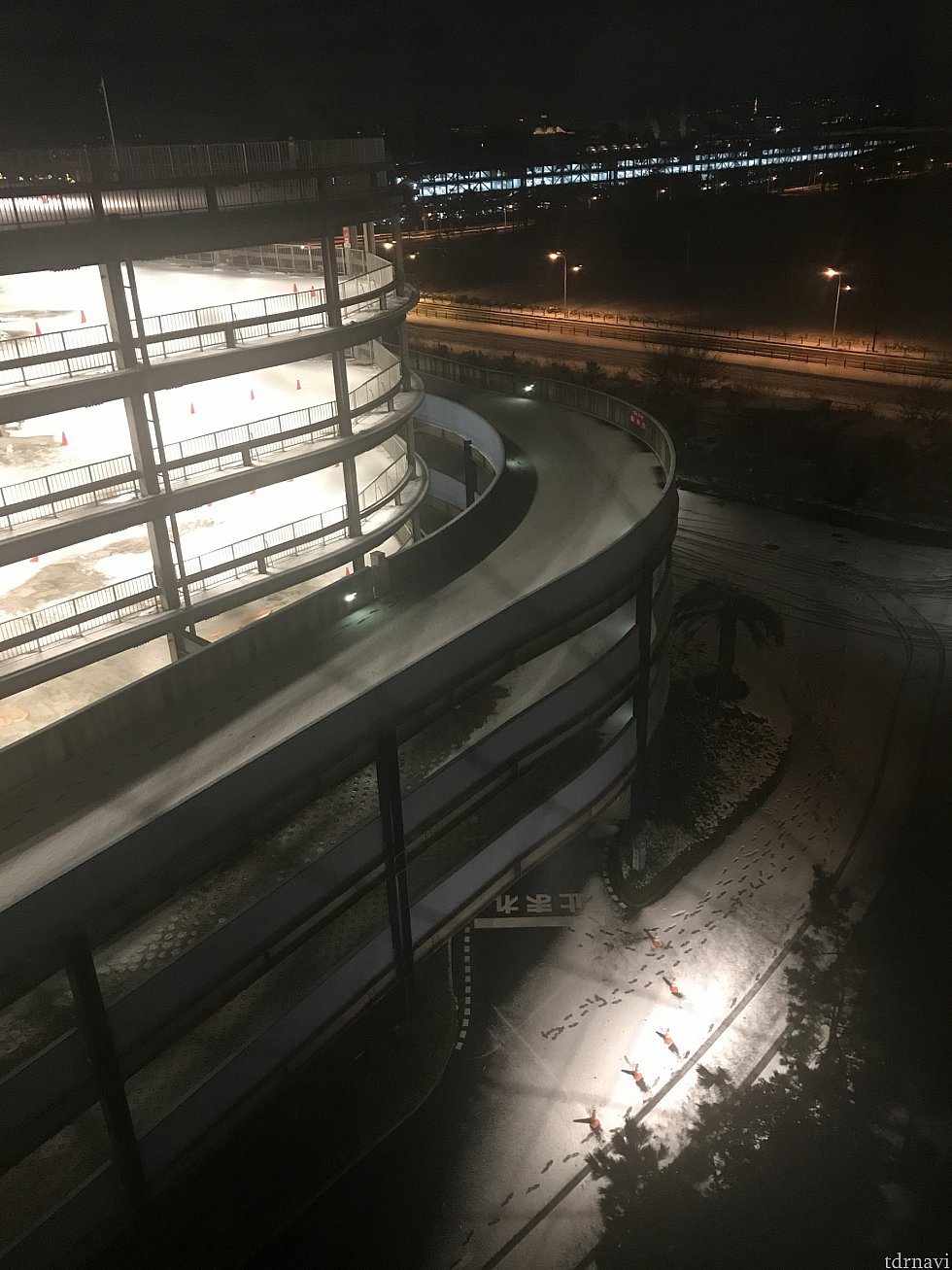 駐車場ビューでした!