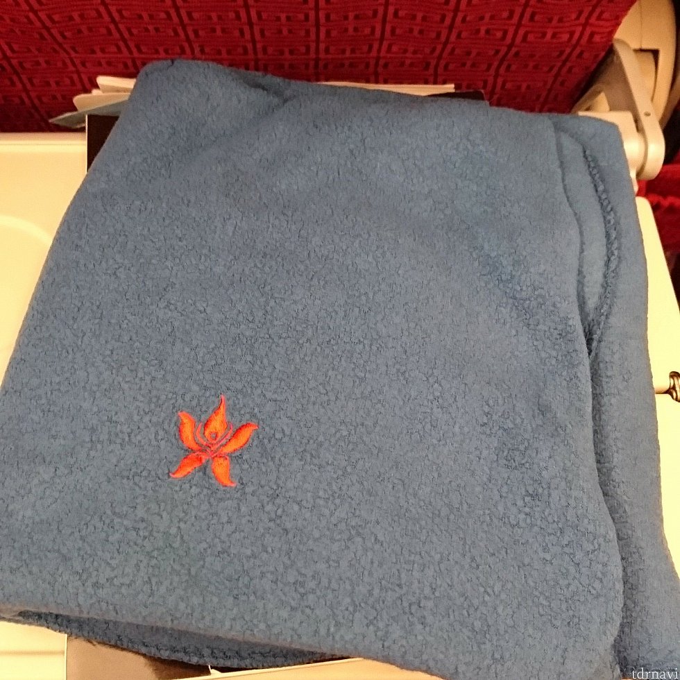 ペラペラの毛布。でも北米系のエアに比べたら肌触りはマシでしたw
刺繍がかわいい!