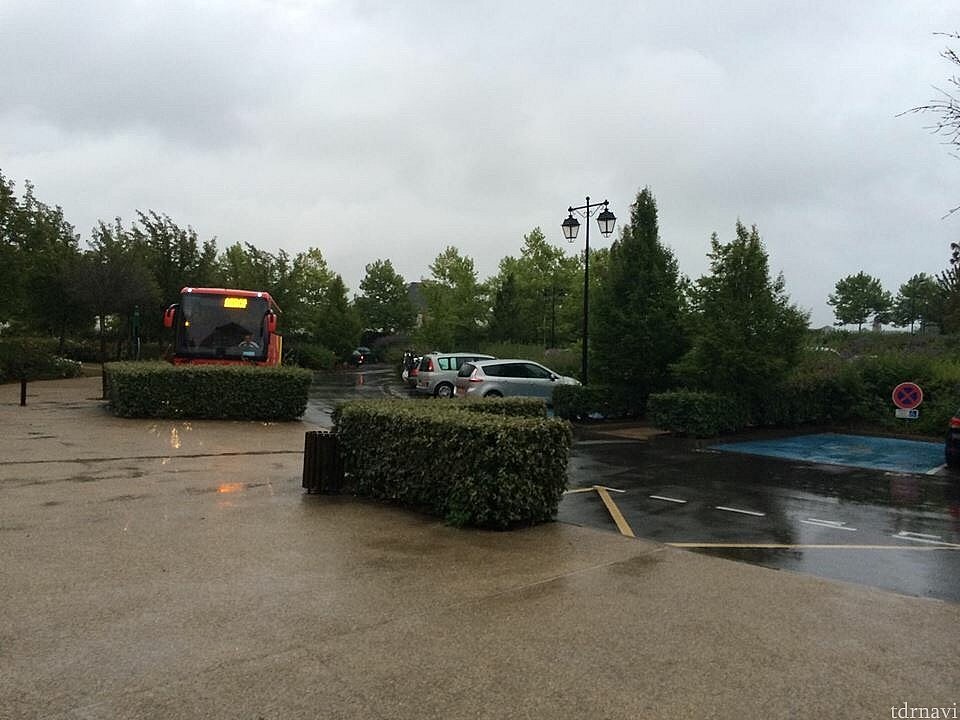 バスが入って来ます