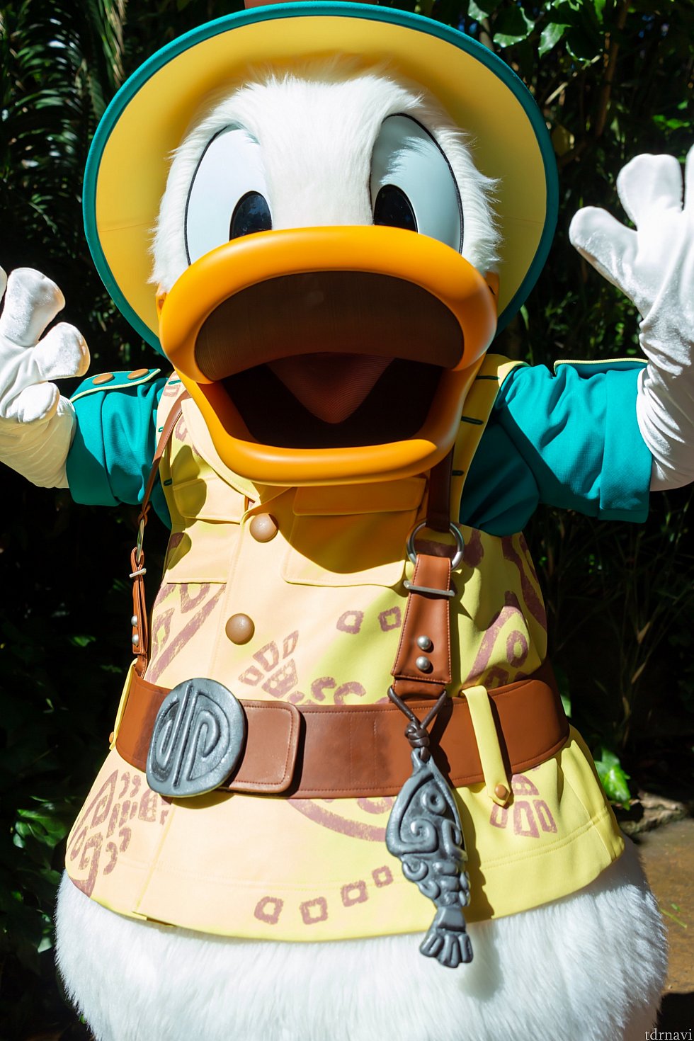 キューラインの横を通るので、シャッターチャンス👍✨