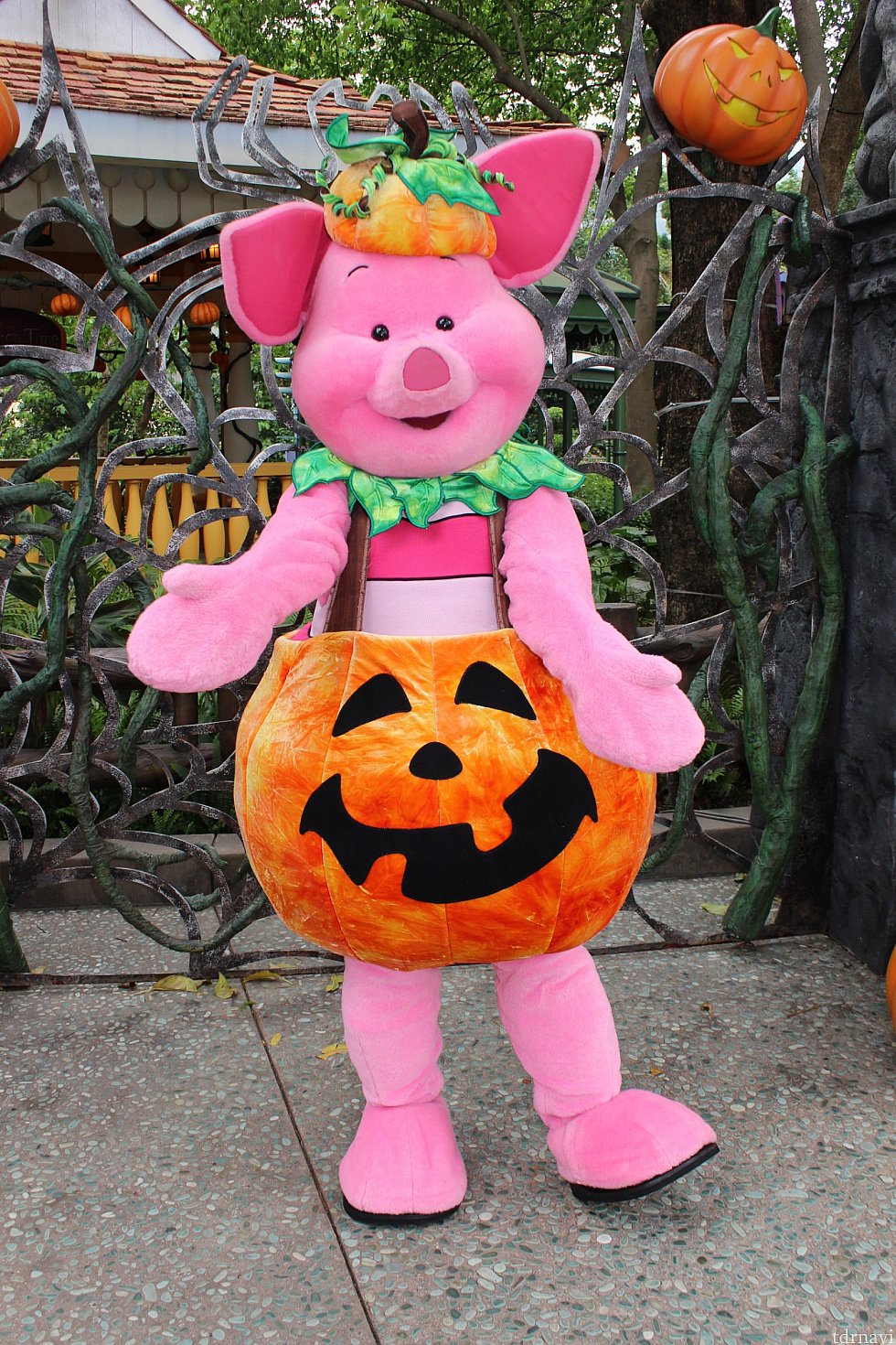 ピグレットはかぼちゃ🎃