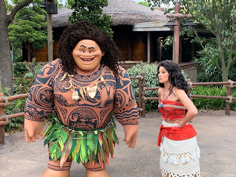 モアナとマウイは整列グリです!