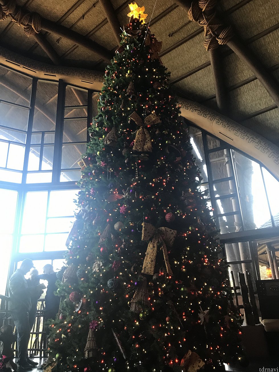 クリスマスツリーがありました🎄