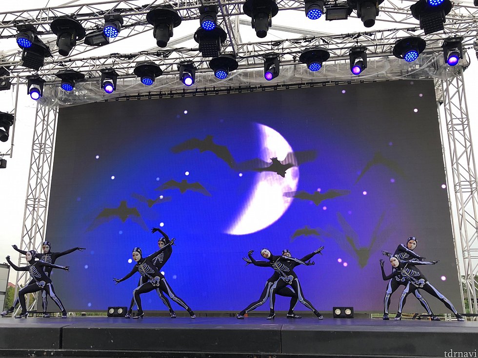 スケルトン!夜は光るのかも!?