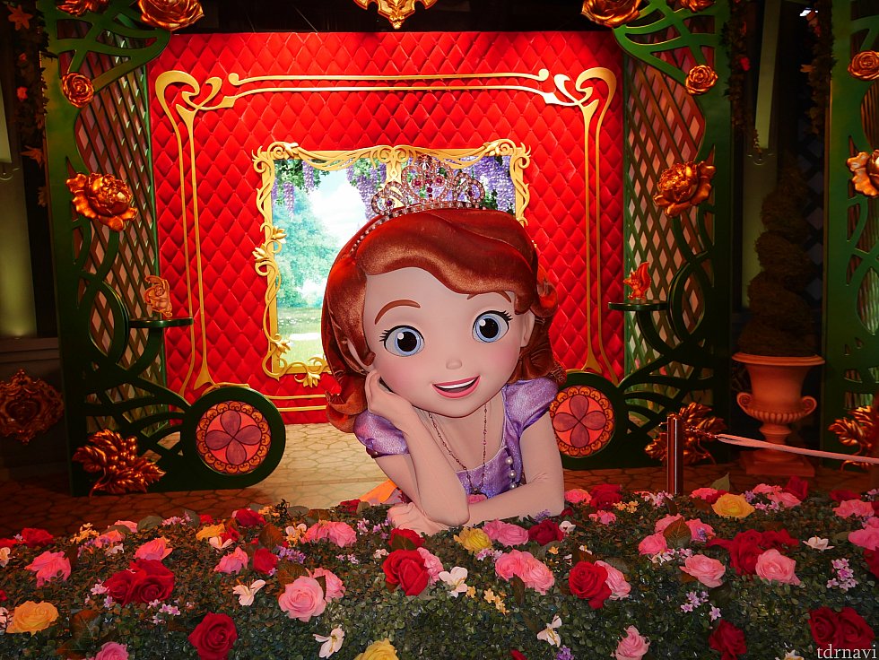 お花が似合いますね!2日の滞在中、3回くらいソフィアとグリーティングしました😁