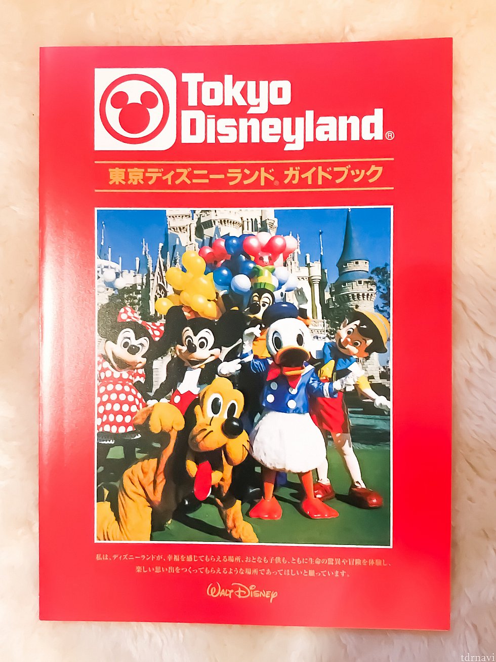 特典の復刻版ガイドマップ。これだけでも貴重です。