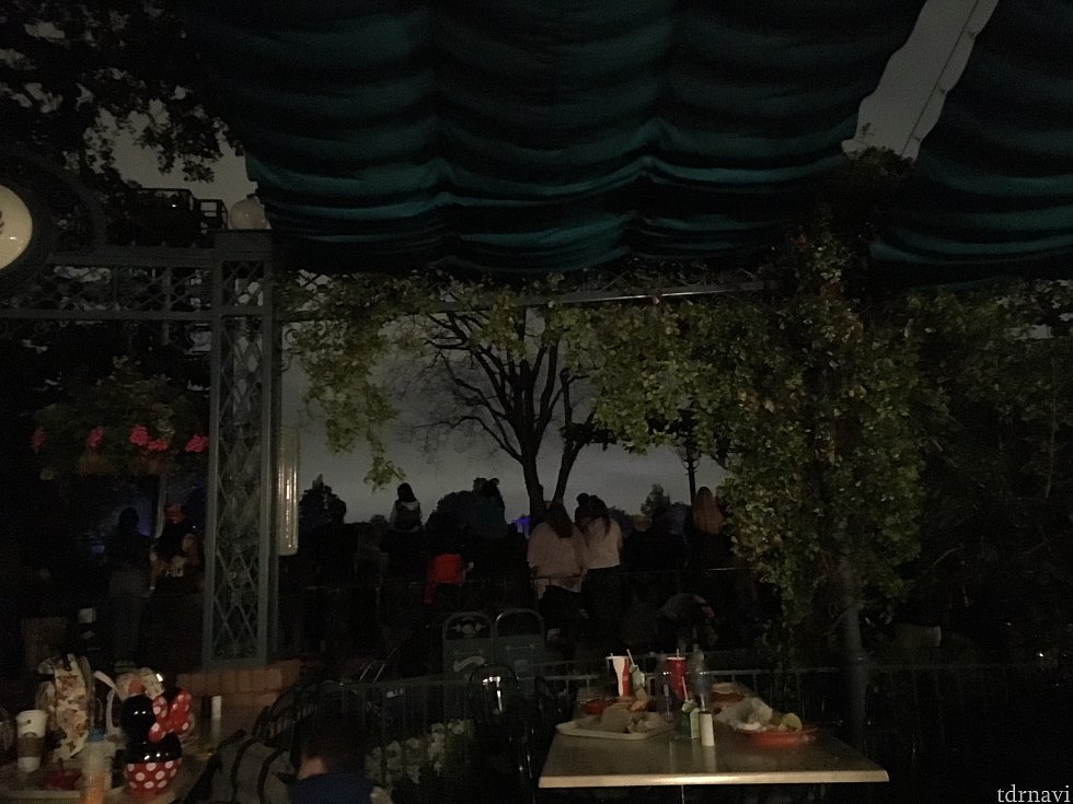 Fantasmicの上演中。人が立ってしまうので、ほぼ見えませんでした。