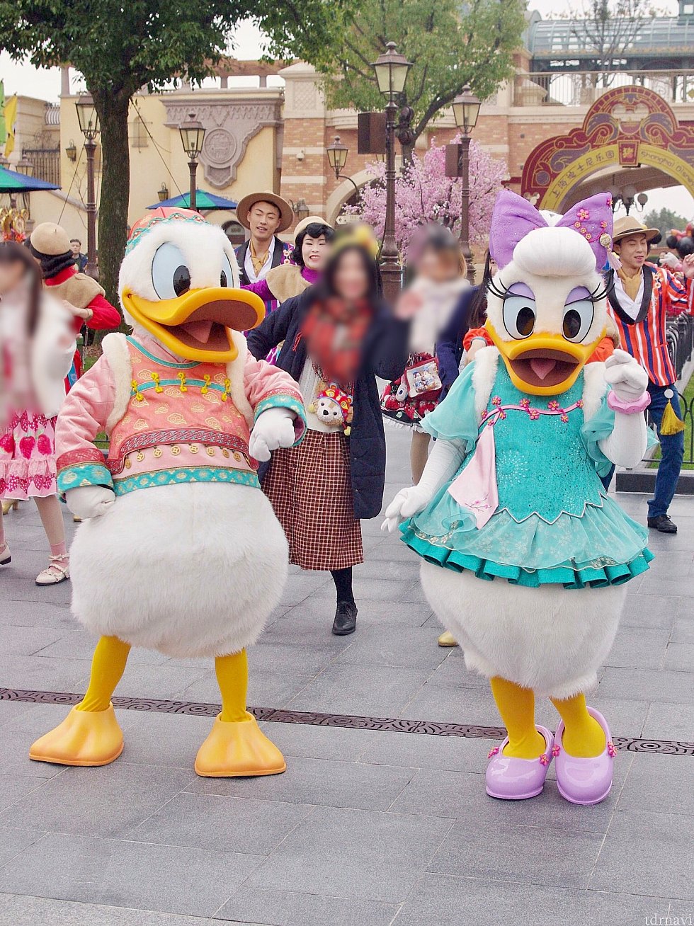 右側だとドナデジが目の前に!