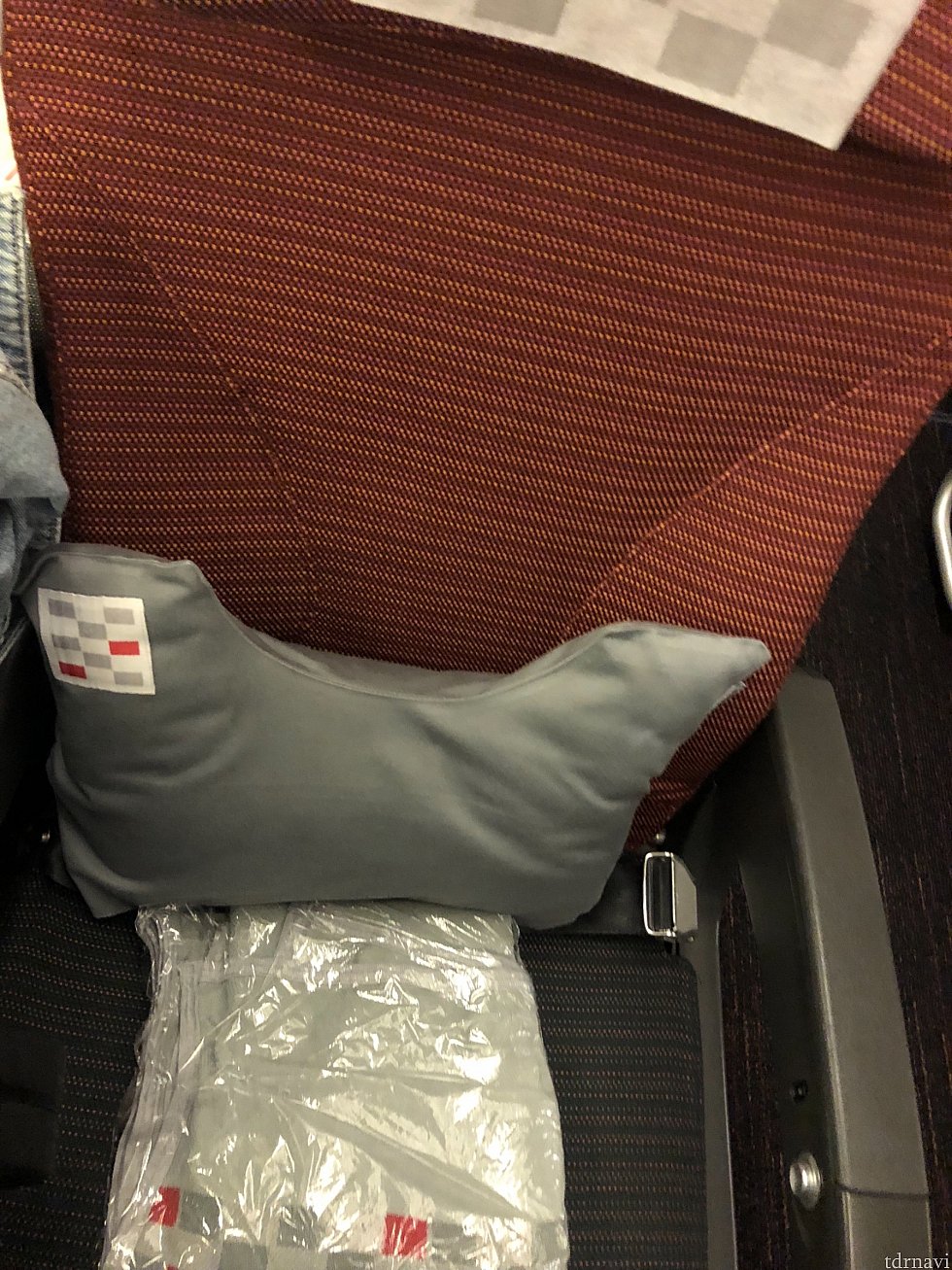 成田発シカゴ行き機内
クッション、ブランケット、イヤホン
トイレに歯磨きあります
