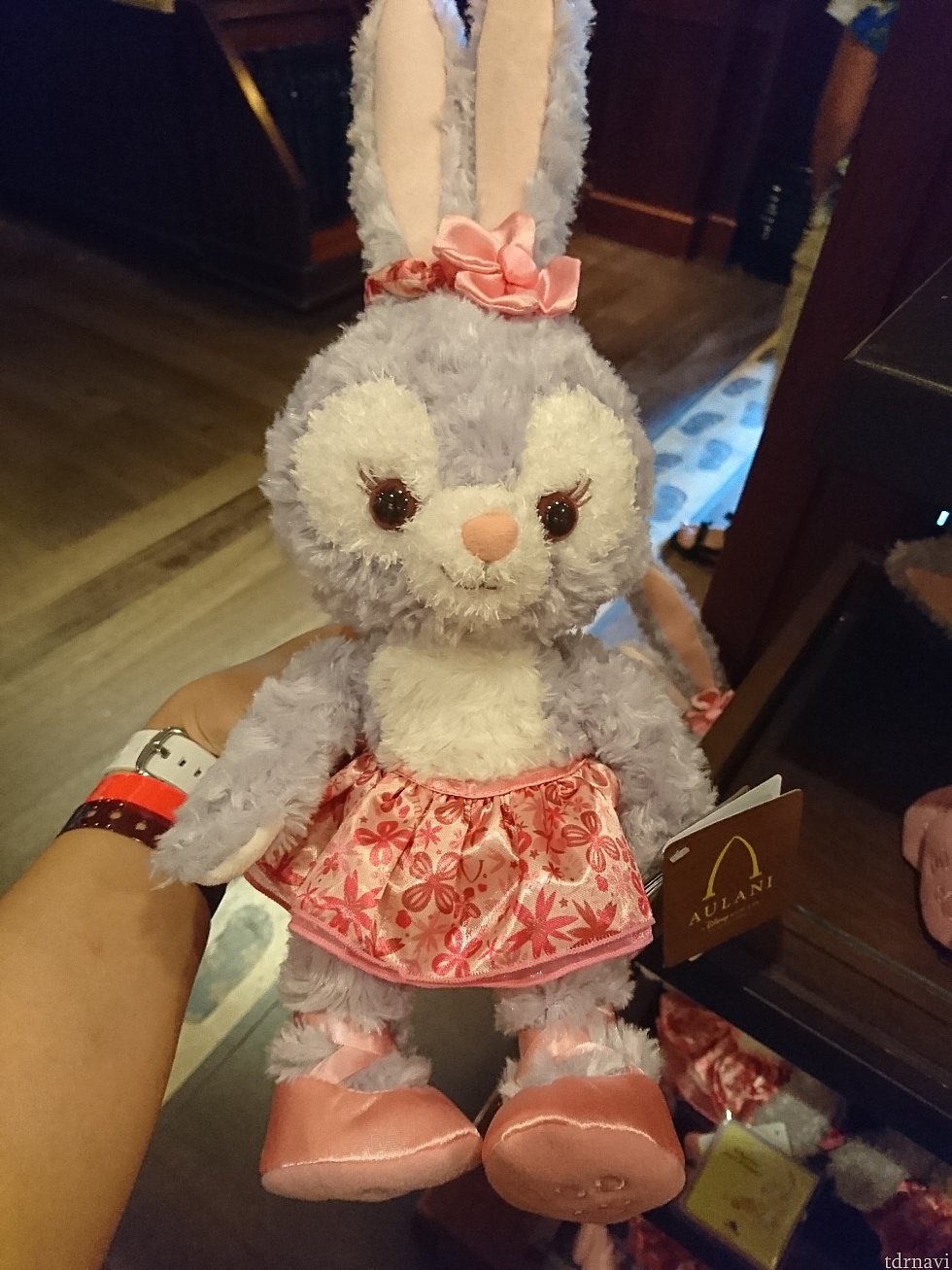 アウラニ限定コスチュームを着たぬいぐるみ、35ドル。